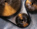 /album/fotogaleria-/images-jpg/